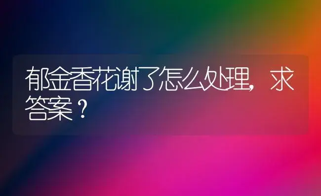 郁金香花谢了怎么处理，求答案？ | 绿植常识