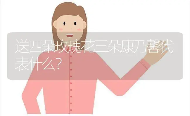 送四朵玫瑰花三朵康乃馨代表什么？ | 绿植常识