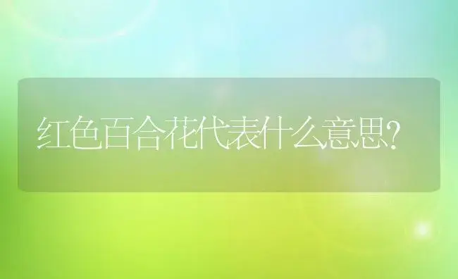 红色百合花代表什么意思？ | 绿植常识