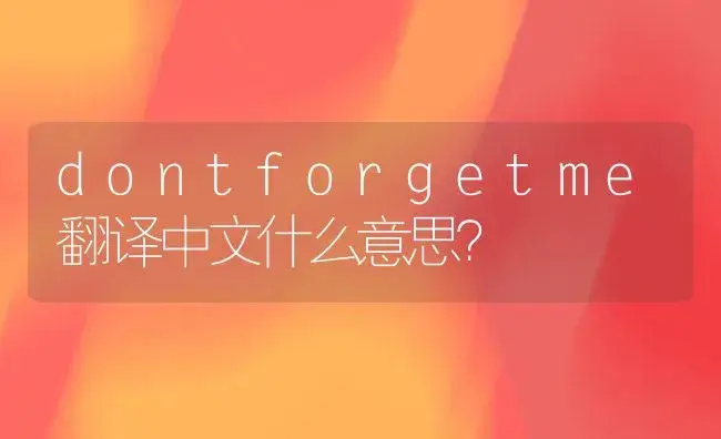 dontforgetme翻译中文什么意思？ | 绿植常识