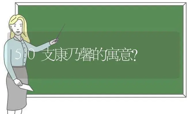 50支康乃馨的寓意？ | 绿植常识