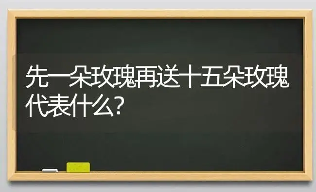 先一朵玫瑰再送十五朵玫瑰代表什么？ | 绿植常识