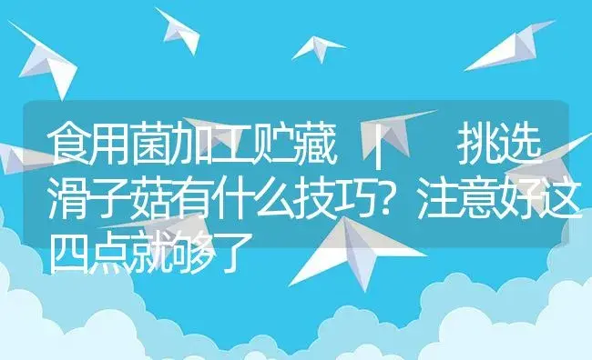 挑选滑子菇有什么技巧？注意好这四点就够了 | 菌菇种植