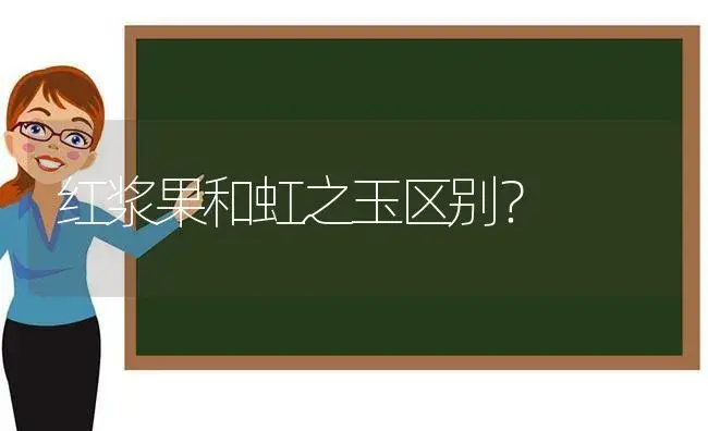 红浆果和虹之玉区别？ | 多肉养殖