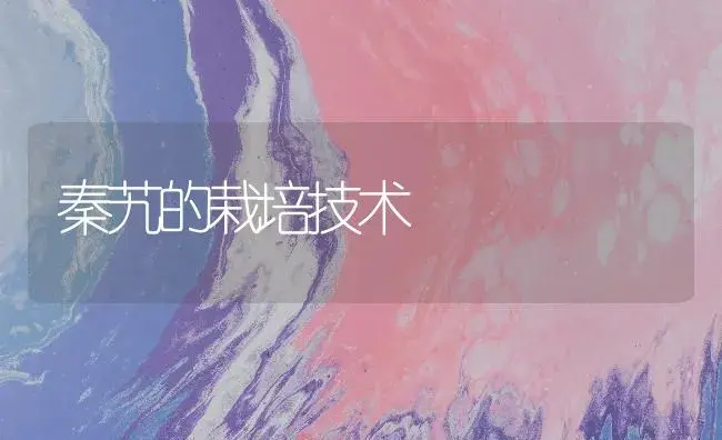 秦艽的栽培技术 | 药材种植