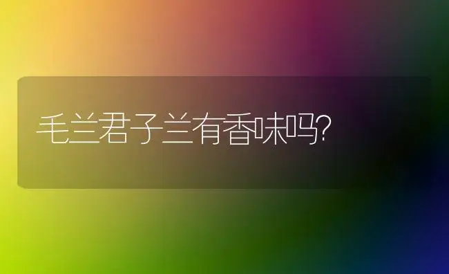 毛兰君子兰有香味吗？ | 绿植常识