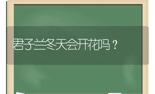 君子兰冬天会开花吗？ | 绿植常识