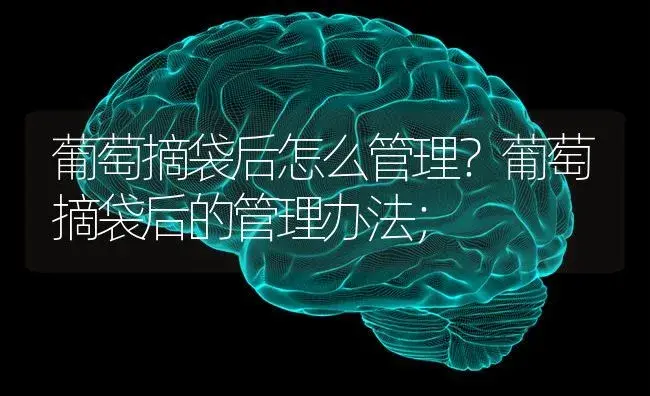 葡萄摘袋后怎么管理？葡萄摘袋后的管理办法； | 果木种植