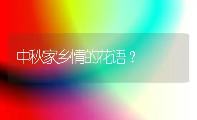 中秋家乡情的花语？ | 绿植常识