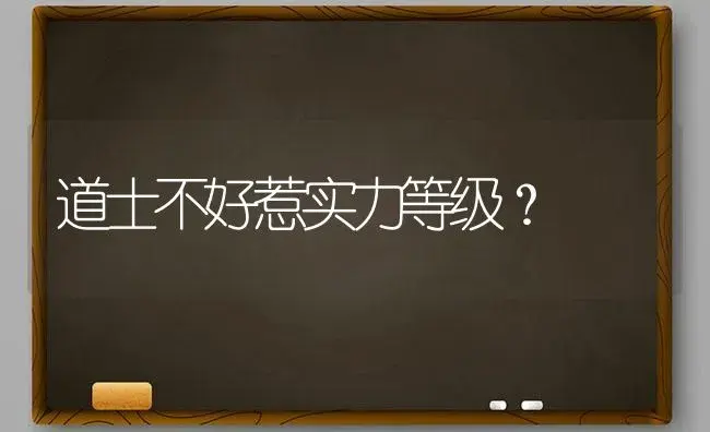 道士不好惹实力等级？ | 多肉养殖