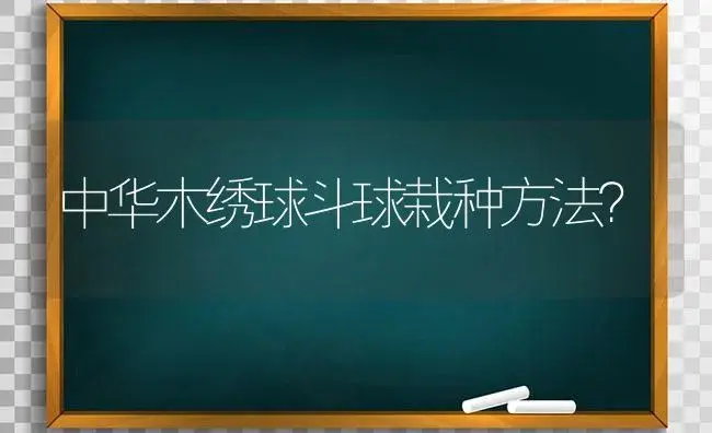 中华木绣球斗球栽种方法？ | 绿植常识