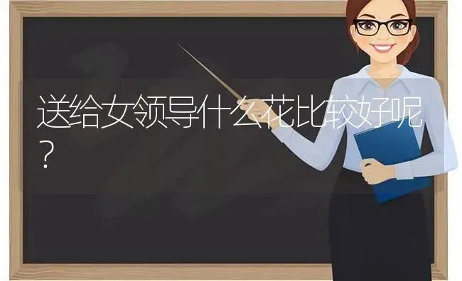 送给女领导什么花比较好呢？ | 绿植常识