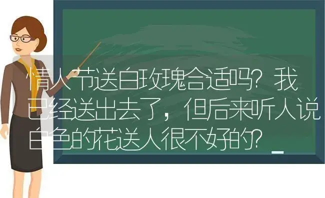 情人节送白玫瑰合适吗？我已经送出去了，但后来听人说白色的花送人很不好的？ | 绿植常识