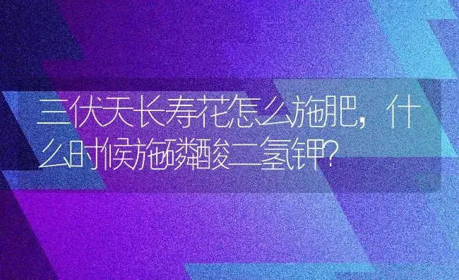 三伏天长寿花怎么施肥,什么时候施磷酸二氢钾？ | 多肉养殖