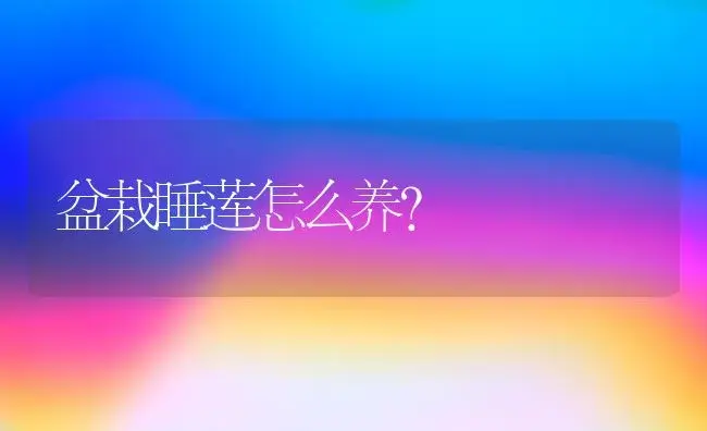 盆栽睡莲怎么养？ | 家庭养花