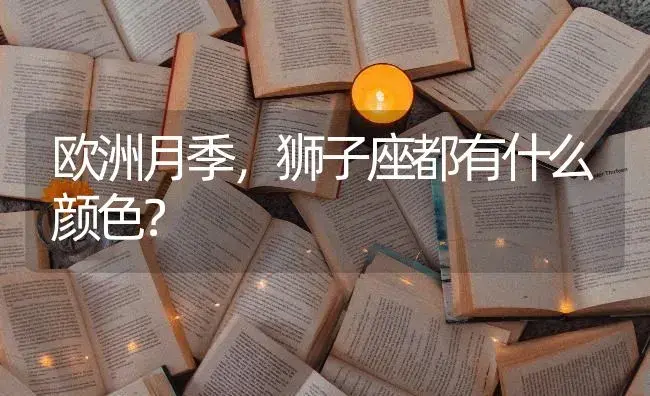 欧洲月季，狮子座都有什么颜色？ | 绿植常识