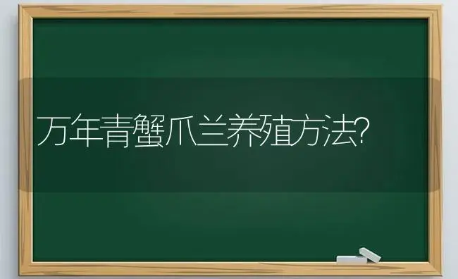 万年青蟹爪兰养殖方法？ | 多肉养殖