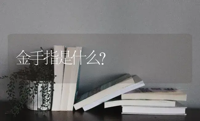 蟹爪兰营养土哪的产地比较好？ | 多肉养殖