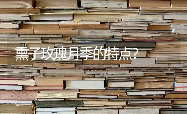 熏子玫瑰月季的特点？ | 绿植常识