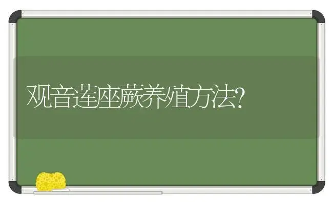 观音莲座蕨养殖方法？ | 多肉养殖