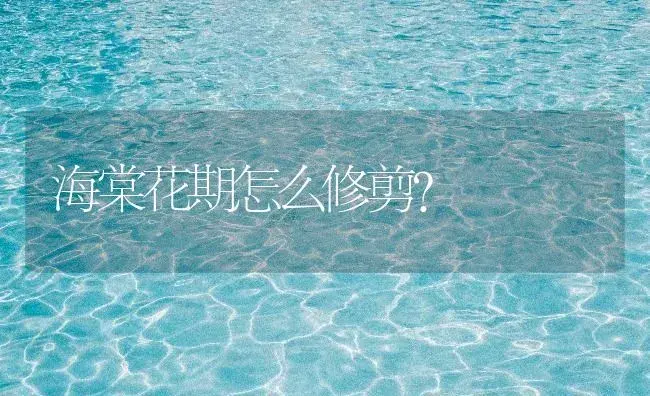 海棠花期怎么修剪？ | 绿植常识