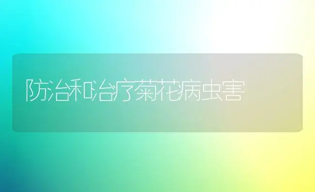 茉莉花滋生手艺要点 | 家庭养花