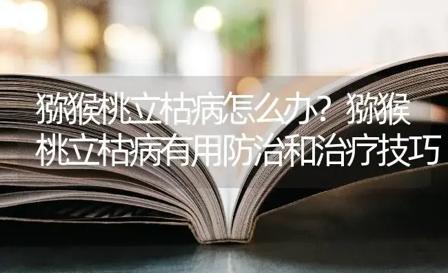 猕猴桃立枯病怎么办？猕猴桃立枯病有用防治和治疗技巧 | 果木种植