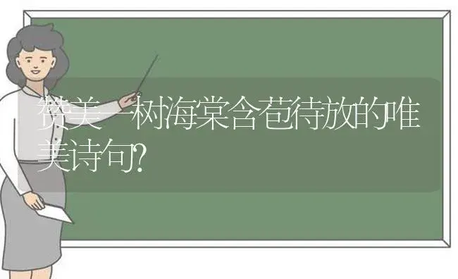 赞美一树海棠含苞待放的唯美诗句？ | 绿植常识