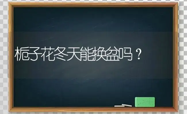 比利时杜鹃有毒吗？ | 绿植常识