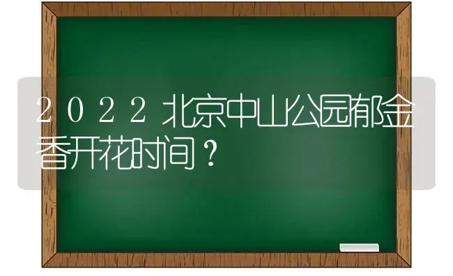 2022北京中山公园郁金香开花时间？ | 绿植常识