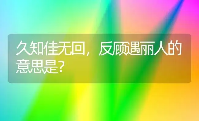 久知佳无回,反顾遇丽人的意思是？ | 多肉养殖