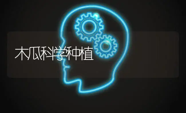 木瓜科学种植 | 特种种植