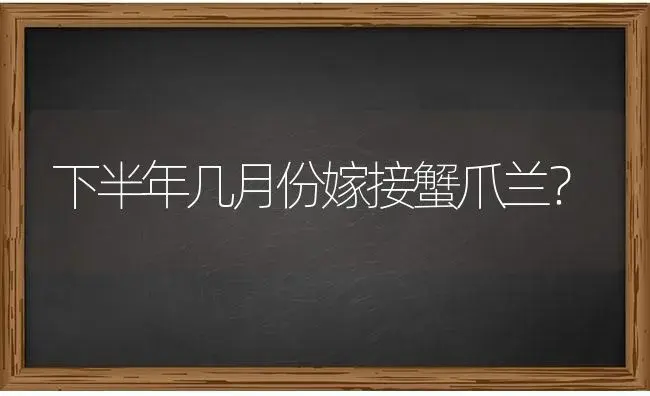 下半年几月份嫁接蟹爪兰？ | 多肉养殖