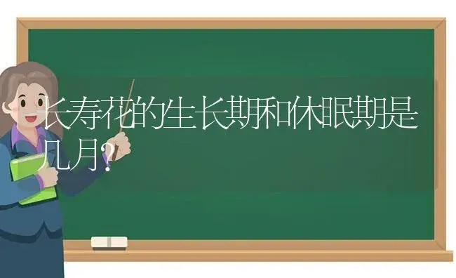 长寿花的生长期和休眠期是几月？ | 多肉养殖