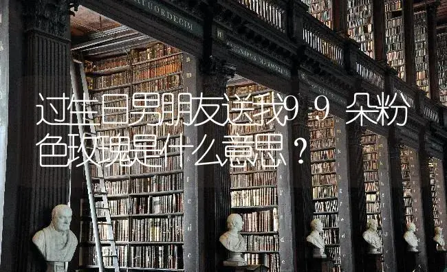 过生日男朋友送我99朵粉色玫瑰是什么意思？ | 绿植常识