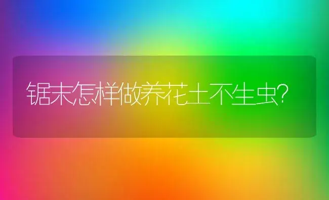 锯末怎样做养花土不生虫？ | 多肉养殖