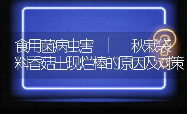 秋栽袋料香菇出现烂棒的原因及对策 | 菌菇种植