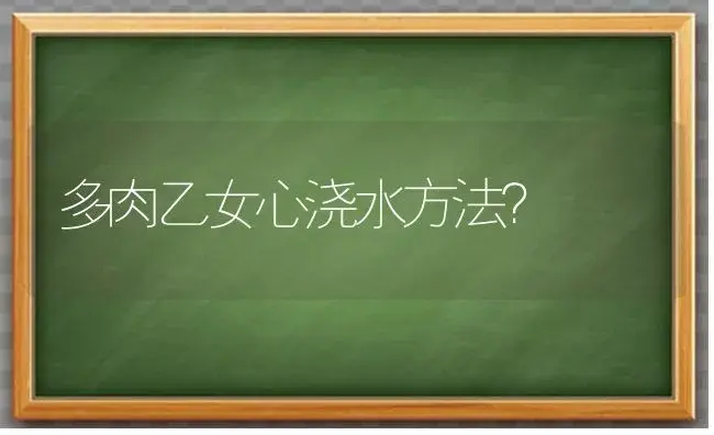 多肉乙女心浇水方法？ | 多肉养殖