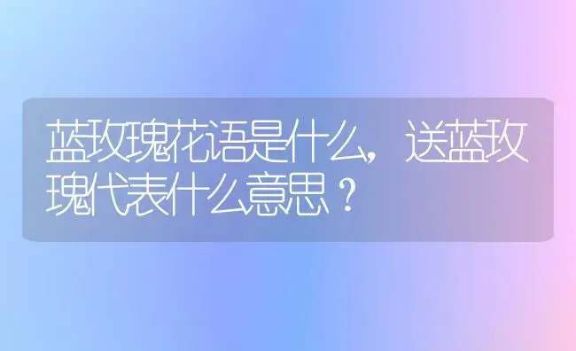 蓝玫瑰花语是什么，送蓝玫瑰代表什么意思？ | 绿植常识