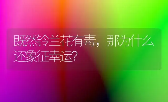 既然铃兰花有毒，那为什么还象征幸运？ | 绿植常识