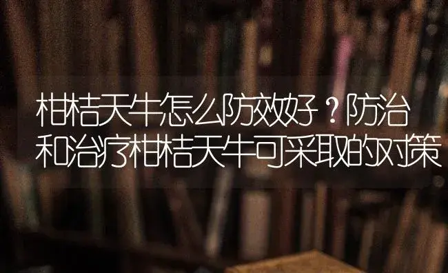 柑桔天牛怎么防效好？防治和治疗柑桔天牛可采取的对策 | 果木种植