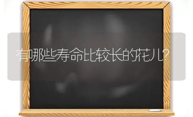 有哪些寿命比较长的花儿？ | 多肉养殖