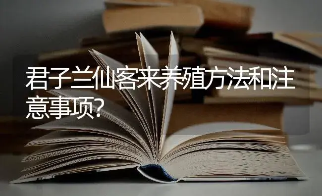 君子兰仙客来养殖方法和注意事项？ | 绿植常识