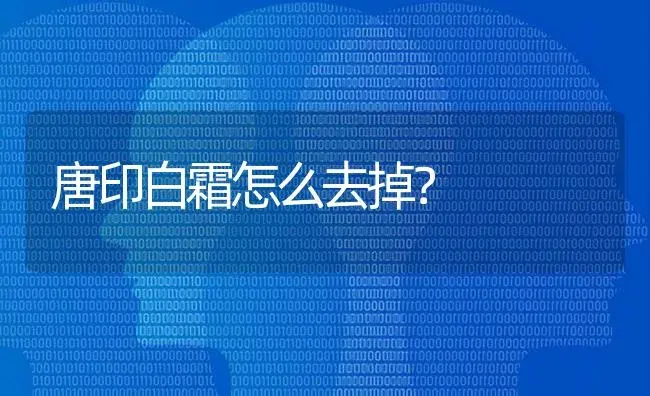 唐印白霜怎么去掉？ | 多肉养殖