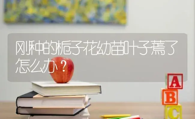 刚种的栀子花幼苗叶子蔫了怎么办？ | 绿植常识