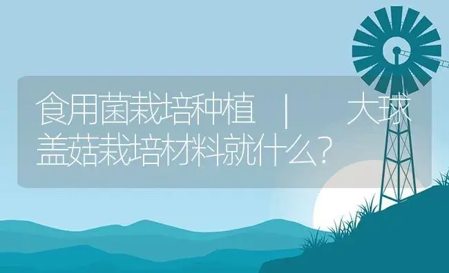 大球盖菇栽培材料就什么？ | 菌菇种植