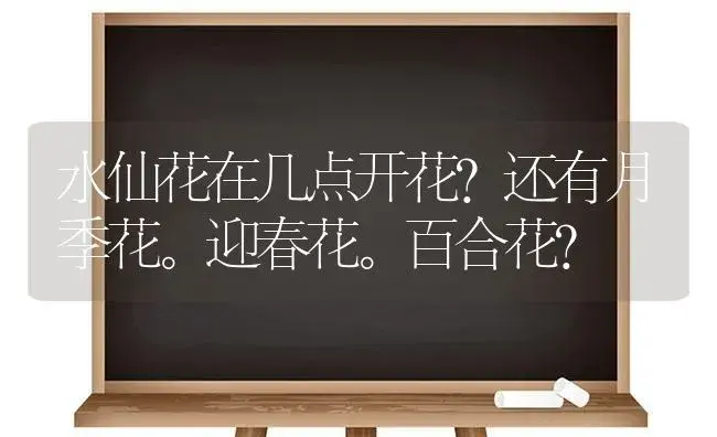 水仙花在几点开花？还有月季花。迎春花。百合花？ | 绿植常识