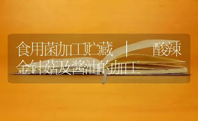 酸辣金针菇及酱油的加工 | 菌菇种植