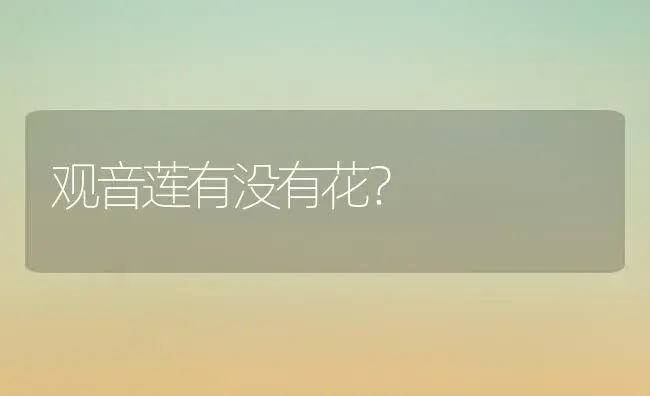 观音莲有没有花？ | 多肉养殖