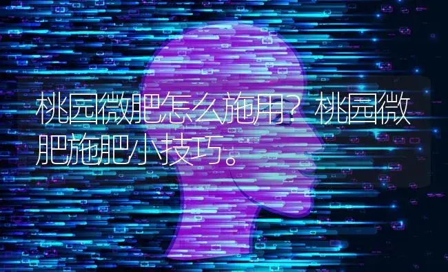 桃园微肥怎么施用？桃园微肥施肥小技巧。 | 果木种植